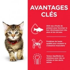 Kitten Pack Mixte Sachet Repas 9 Kitten Pack Mixte Sachet Repas -Animaux Fournitures Magasin kitten pack mixte sachet repas 3