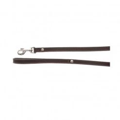 Materiel Laisse Cuir Doublé