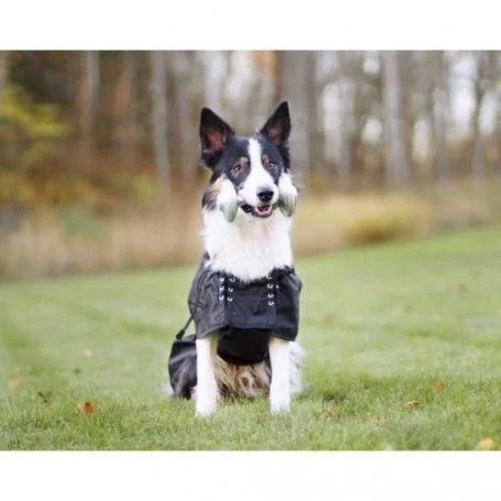 Materiel Manteau Imperméable Pour Chien Back On Track 4 Materiel Manteau Imperméable Pour Chien Back On Track – Image 2