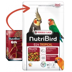 VERSELE-LAGA Nutribird Grandes Perruches G14 Tropical(extrudé)