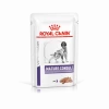 Pack'Avenue Royal Canin Grand Chien Adulte Stérilisé