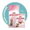 Pack'Avenue Royal Canin CAT KITTEN STERILISED 3,5KG Avec émincé En Sauce -Animaux Fournitures Magasin pack croissance chatons sterilises Royal Canin