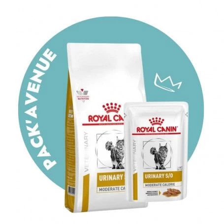 Pack'Avenue Royal Canin Cat Urinary S/O Moderate Calorie Sac 3,5kg Avec 12 Sachets Repas Morceaux 3 Pack'Avenue Royal Canin Cat Urinary S/O Moderate Calorie Sac 3,5kg Avec 12 Sachets Repas Morceaux