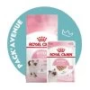 Pack'Avenue Royal Canin CAT KITTEN 10KG Avec Mousse En Sachet Repas -Animaux Fournitures Magasin pack croquettes chatons Kitten Royal Canin