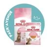 Pack'Avenue Royal Canin CAT KITTEN STERILISED 3,5KG Avec émincé En Gelée -Animaux Fournitures Magasin pack croquettes chatons sterilises Royal Canin