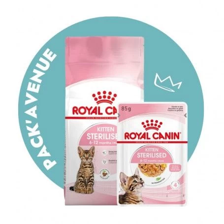 Pack'Avenue Royal Canin CAT KITTEN STERILISED 3,5KG Avec émincé En Gelée 3 Pack'Avenue Royal Canin CAT KITTEN STERILISED 3,5KG Avec émincé En Gelée