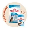Pack'Avenue Royal Canin DOG MAXI PUPPY 15KG 2 Pack'Avenue Royal Canin DOG MAXI PUPPY 15KG -Animaux Fournitures Magasin pack croquettes chiot grande race
