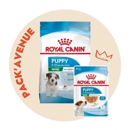 Pack'Avenue Royal Canin DOG MINI PUPPY 8KG 3 Pack'Avenue Royal Canin DOG MINI PUPPY 8KG