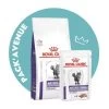 Pack'Avenue Royal Canin Cat Mature Consult Balance 10KG Avec Mousse En Sachet Repas -Animaux Fournitures Magasin pack croquettes viellissement chat