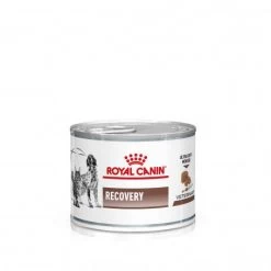 Produits populaires 18 ROYAL CANIN Dog/Cat Recovery Boîte