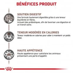 ROYAL CANIN Cat Gastro Intestinal Moderate Calorie Sachet Repas -Animaux Fournitures Magasin royal canin cat gastro intestinal moderate calorie sachet repas 2
