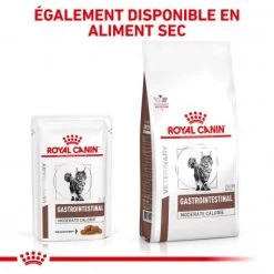 ROYAL CANIN Cat Gastro Intestinal Moderate Calorie Sachet Repas -Animaux Fournitures Magasin royal canin cat gastro intestinal moderate calorie sachet repas 6