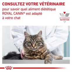 ROYAL CANIN Cat Gastro Intestinal Sachet Repas -Animaux Fournitures Magasin royal canin cat gastro intestinal sachet repas 7