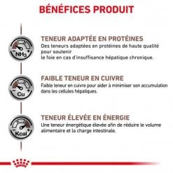 ROYAL CANIN Cat Hepatic -Animaux Fournitures Magasin royal canin cat hepatic 3