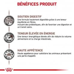 ROYAL CANIN Dog Gastro Intestinal -Animaux Fournitures Magasin royal canin dog gastro intestinal 3