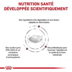 ROYAL CANIN Dog Gastro Intestinal Low Fat -Animaux Fournitures Magasin royal canin dog gastro intestinal low fat 2