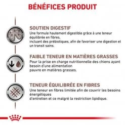 ROYAL CANIN Dog Gastro Intestinal Low Fat -Animaux Fournitures Magasin royal canin dog gastro intestinal low fat 3