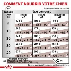 ROYAL CANIN Dog Gastro Intestinal Low Fat -Animaux Fournitures Magasin royal canin dog gastro intestinal low fat 4