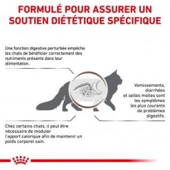 Produits populaires -Animaux Fournitures Magasin royal canin veterinary diet cat gastro intestinal moderate calorie 1