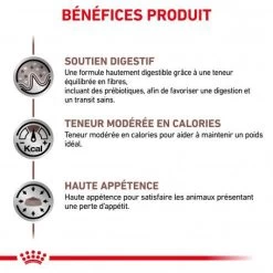 ROYAL CANIN Cat Gastro Intestinal Moderate Calorie 15 ROYAL CANIN Cat Gastro Intestinal Moderate Calorie -Animaux Fournitures Magasin royal canin veterinary diet cat gastro intestinal moderate calorie 3