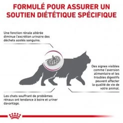 Produits populaires -Animaux Fournitures Magasin royal canin veterinary diet cat renal 1