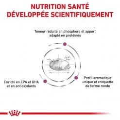 ROYAL CANIN Veterinary Health Nutrition Cat Renal -Animaux Fournitures Magasin royal canin veterinary diet cat renal 2