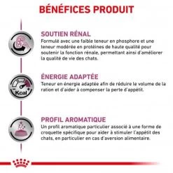 ROYAL CANIN Veterinary Health Nutrition Cat Renal -Animaux Fournitures Magasin royal canin veterinary diet cat renal 3