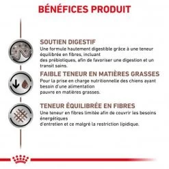 ROYAL CANIN Dog Gastro Intestinal Low Fat Boîte -Animaux Fournitures Magasin royal canin veterinary diet dog gastro intestinal low fat boite 2