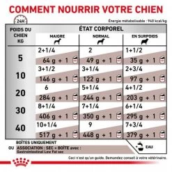 ROYAL CANIN Dog Gastro Intestinal Low Fat Boîte -Animaux Fournitures Magasin royal canin veterinary diet dog gastro intestinal low fat boite 3