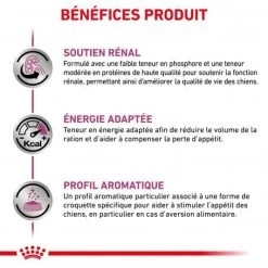 ROYAL CANIN Veterinary Health Nutrition Dog Renal 14 ROYAL CANIN Veterinary Health Nutrition Dog Renal -Animaux Fournitures Magasin royal canin veterinary diet dog renal 3