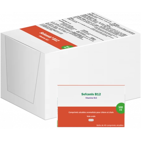 Sofcanis B12 4 Sofcanis B12 – Image 2