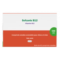 Sofcanis B12