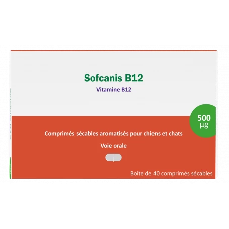 Sofcanis B12 3 Sofcanis B12