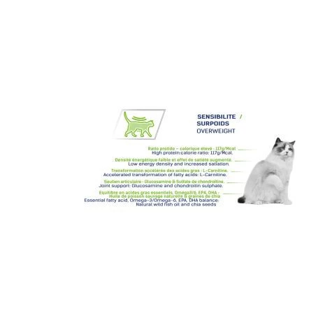 Tonivet Chat Ligne 4 Tonivet Chat Ligne – Image 2