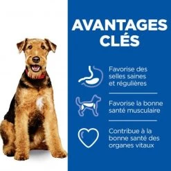 Vet Essentials Canine Adult Healthy Digestive Biome Medium -Animaux Fournitures Magasin vet essentials canine adult healthy digestive biome large 4