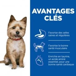 Vet Essentials Canine Adult Healthy Digestive Biome Small&Mini 13 Vet Essentials Canine Adult Healthy Digestive Biome Small&Mini -Animaux Fournitures Magasin vet essentials canine adult healthy digestive biome smallmi 3