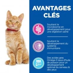 Vet Essentials Kitten Growth ActivBiome+ Poulet 11 Vet Essentials Kitten Growth ActivBiome+ Poulet -Animaux Fournitures Magasin vet essentials chat kitten growth poulet 3