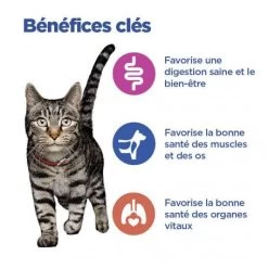 Vet Essentials Chat Multi-Benefit Adulte Poulet Sachet Repas 13 Vet Essentials Chat Multi-Benefit Adulte Poulet Sachet Repas -Animaux Fournitures Magasin vet essentials chat multi benefit adult 1 poulet sachet repas 2