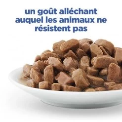 Vet Essentials Chat Multi-Benefit Adult 1+ Saumon Sachet Repas 16 Vet Essentials Chat Multi-Benefit Adult 1+ Saumon Sachet Repas -Animaux Fournitures Magasin vet essentials chat multi benefit adult 1 saumon sachet re 5