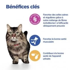Vet Essentials Chat Multi-Benefit + Digestion Adult 1+ Saumon 12 Vet Essentials Chat Multi-Benefit + Digestion Adult 1+ Saumon -Animaux Fournitures Magasin vet essentials chat multi benefit digestion adult 1 saum 3