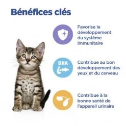 Vet Essentials Chat Multi-Benefit Kitten Poulet Sachet Repas -Animaux Fournitures Magasin vet essentials chat multi benefit kitten poulet sachet repas 2