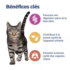 Vet Essentials Chat Multi-Benefit Mature Adulte 7+ Poulet Sachet Repas -Animaux Fournitures Magasin vet essentials chat multi benefit matur adulte 7 poulet sachet repas 2