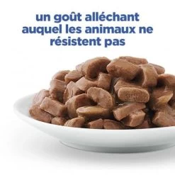 Vet Essentials Chat Multi-Benefit + Weight Adult Poulet Sachets Repas 13 Vet Essentials Chat Multi-Benefit + Weight Adult Poulet Sachets Repas -Animaux Fournitures Magasin vet essentials chat multi benefit weight adult poulet sachets repas 3