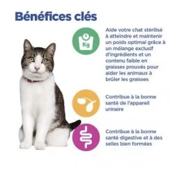 Vet Essentials Chat Multi-Benefit + Weight Adult Poulet Sachets Repas 17 Vet Essentials Chat Multi-Benefit + Weight Adult Poulet Sachets Repas -Animaux Fournitures Magasin vet essentials chat multi benefit weight adult poulet sachets repas 7