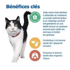 Vet Essentials Chat Multi-Benefit + Weight Mature 7+ Poulet -Animaux Fournitures Magasin vet essentials chat multi benefit weight mature adult7 po 3