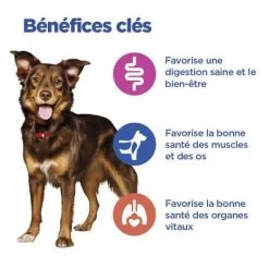 Vet Essentials Chien Multi-Benefit Adult + Medium Agneau & Riz -Animaux Fournitures Magasin vet essentials chien multi benefit adult 1 medium agnriz 3