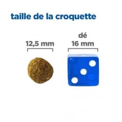 Vet Essentials Chien Multi-Benefit Adult + Medium Agneau & Riz -Animaux Fournitures Magasin vet essentials chien multi benefit adult 1 medium agnriz 4