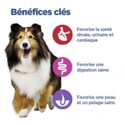 Vet Essentials Chien Multi-Benefit Adult + Medium Non Grain Thon -Animaux Fournitures Magasin vet essentials chien multi benefit adult 1 medium non grain thon 2