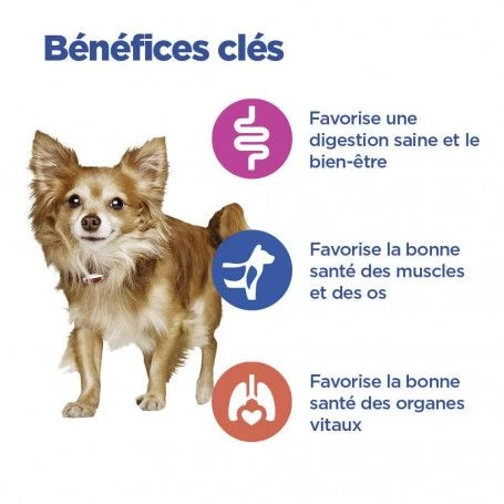 Vet Essentials Chien Multi-Benefit Adult + Small & Mini Agneau & Riz 5 Vet Essentials Chien Multi-Benefit Adult + Small & Mini Agneau & Riz – Image 3