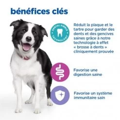 Vet Essentials Chien Multi-Benefit + Dental Adulte + Medium & Large Poulet -Animaux Fournitures Magasin vet essentials chien multi benefit dental ad 1 medla po 4
